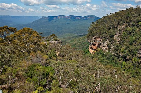 Australia,New South Wales. A view of the Jamison Valley in the Blue Mountains from Prince Henry Cliff Walk. Foto de stock - Con derechos protegidos, Código: 862-03289228