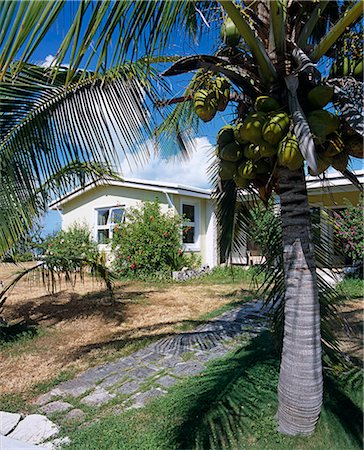 simsearch:862-03289338,k - Flamingo House, Little Whale Cay Photographie de stock - Rights-Managed, Code: 862-03289285