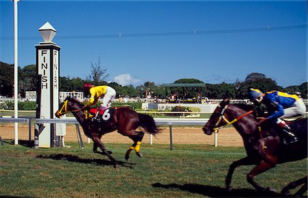 first - The Finish Line at the Garrison Savannah race course Foto de stock - Con derechos protegidos, Código: 862-03289376