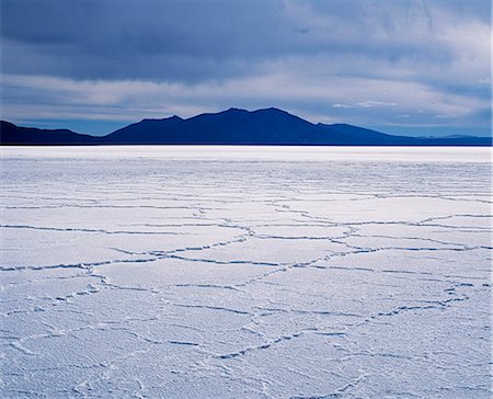 During the dry season,a web of polygonal lines of salt form on the salt crust of the Salar de Uyuni,the largest salt flat in the world at over 12,000 square kilometres. Foto de stock - Con derechos protegidos, Código: 862-03289464