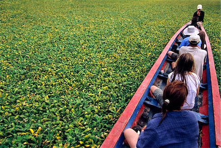 Water hyacinth makes for slow progress cruising up a tributary of the Beni River in the Amazon Basin,Bolivia. Stock Photo - Rights-Managed, Code: 862-03289480