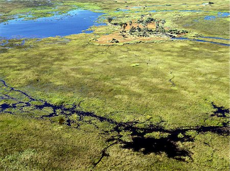 simsearch:862-03289600,k - An aerial photograph of the Okavango Delta. Foto de stock - Con derechos protegidos, Código: 862-03289597