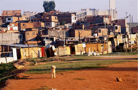 simsearch:862-06675805,k - Ein Hund blickt auf eine Kulisse einer Favela in Sao Paulo. Stockbilder - Lizenzpflichtiges, Bildnummer: 862-03289645