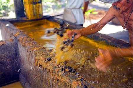 Brazil,Bahia,Boipeba Island. Dende seed from the palm processed in the next stage to make Dende Oil a staple of Brazilian cuisine. Stock Photo - Rights-Managed, Code: 862-03289781