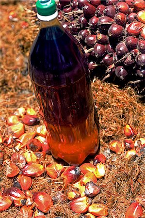 staple - Brazil,Bahia,Boipeba Island. Dende seed from the palm processed in the next stage to make Dende Oil a staple of Brazilian cuisine. Foto de stock - Con derechos protegidos, Código: 862-03289782