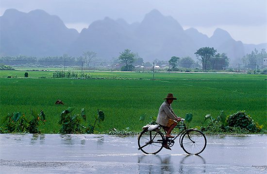 Cyclist after a storm. Stock Photo - Premium Rights-Managed, Artist: AWL Images, Image code: 862-03289859