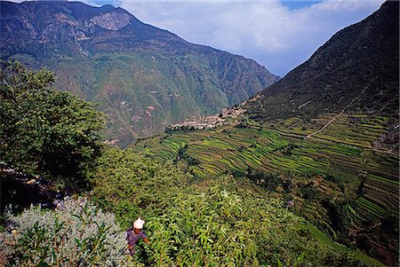 A Naxi woman tends her plot on the terraced hillside high above the Yangtse,125km north of Lijing. Foto de stock - Con derechos protegidos, Código: 862-03289883