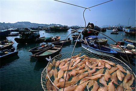 simsearch:862-06676807,k - Fish is hung out to dry over the harbour on the outlying island of Cheung Chau in Hong Kong. Fishing and agriculture remain important industries on the island of thirty thousand inhabitants. Stock Photo - Rights-Managed, Code: 862-03289915
