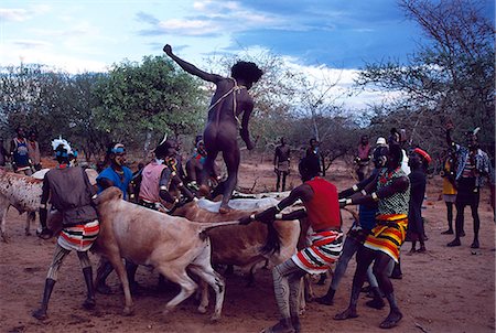 Au point culminant d'une cérémonie de saut bull Hamar, le rite de passage de virilité pour tous les mâles, le bull-cavalier ou à lancer traverse nu le dos d'une lignée de taureaux. Il le fait deux fois dans chaque direction. Une fois qu'il a terminé son saut bull qu'il est prend sa place comme un homme de la tribu, il peut prendre une femme et peut voter sur les questions tribales. Photographie de stock - Rights-Managed, Code: 862-03354057