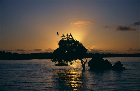 Seychelles,Outer Islands,Aldabra Atoll. Sunrise from Aldabra Lagoon. Stock Photo - Rights-Managed, Code: 862-03354117