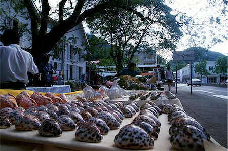 simsearch:841-02715369,k - Seychelles,Mahe,Shell shop in the capital,Victoria. Foto de stock - Con derechos protegidos, Código: 862-03354121