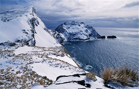 Géorgie du Sud, Godthul. Vue des paysages côtiers. Photographie de stock - Rights-Managed, Code: 862-03354144