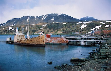 Partly sunken whale-catchers in front of abandoned whaling station. Stock Photo - Rights-Managed, Code: 862-03354148