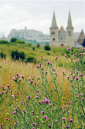 st martins - Spisska Kapitula est un exemple unique d'architecture complexe entouré de remparts. L'objectif initial de l'immeuble devait être un centre religieux, avec ses propres écoles et établissements d'enseignement. La cathédrale de St Martin, vu ici et la chapelle de Zapol'sky est située au cœur de ce complexe religieux. Photographie de stock - Rights-Managed, Code: 862-03354190