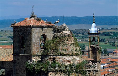 stork's nest - Une cigogne se dresse sur son nid sur la tour du château médiéval à Trujillo Photographie de stock - Rights-Managed, Code: 862-03354245