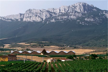 The striking architecture of Ysios winery,designed by world renowned architect Santiago Calatrava,mirrors the undulations of the limestone mountains of the Sierra de Cantabria rising behind Foto de stock - Con derechos protegidos, Código: 862-03354356