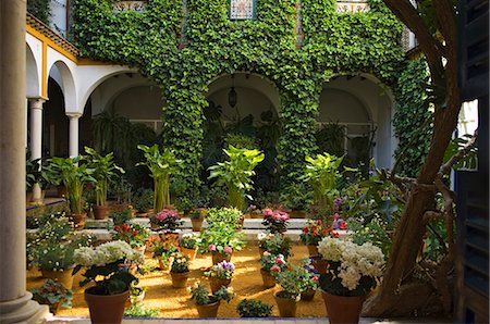 spanish courtyards photos - Carefully arrayed flower pots in the beautifully decorated courtyard of a house on Callejon del Agua,beside the Real Alcazar Palace,Seville,Spain Stock Photo - Rights-Managed, Code: 862-03354511