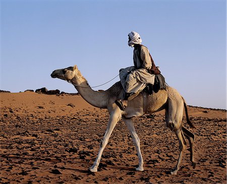 soudan - Dans la lumière après-midi tardive, un conducteur de chameaux traverse un désert près des anciennes pyramides de Méroé, à l'est du Nil. Photographie de stock - Rights-Managed, Code: 862-03354579