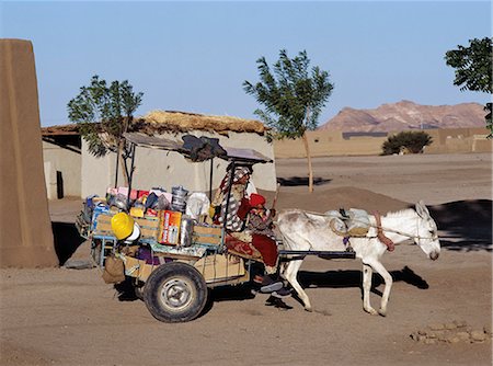 equus africanus asinus - A merchant plies his trade from a donkey cart in the small village of Soleb,close to the River Nile. Foto de stock - Con derechos protegidos, Código: 862-03354601