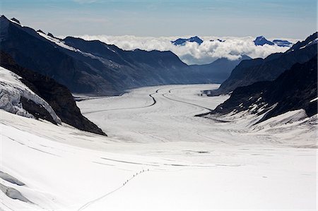 Schweiz, Berner Oberland. Touristen auf dem Aletsch-Gletscher Wandern. Stockbilder - Lizenzpflichtiges, Bildnummer: 862-03354747