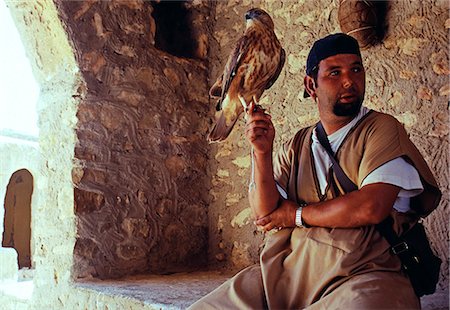 Tunisia,Jebel Haouaia. One of the guardians of the village ksar,or fortified granary,sits with his pet hawk in the entrance. Parts of the ksar were used as a basic hotel following it's appearance in the Star Wars prequel The Phantom Menace . Foto de stock - Con derechos protegidos, Código: 862-03355035