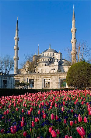sultanahmet camii photograph - The Blue Mosque,also known as the Sultanahmet Mosque,gives its name to the surrounding area. Built under Sultan Ahmet (1603-1617AD) and designed by Mehmet Aga,Istanbul,Turkey Stock Photo - Rights-Managed, Code: 862-03355046