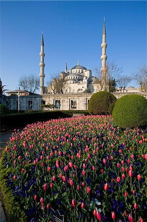 sultanahmet mosque - The Blue Mosque,also known as the Sultanahmet Mosque,gives its name to the surrounding area. Built under Sultan Ahmet (1603-1617AD) and designed by Mehmet Aga,Istanbul,Turkey Stock Photo - Rights-Managed, Code: 862-03355047