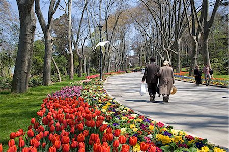 park of tulips - Tulips bloom in Gulhane Park,Istanbul,Turkey Stock Photo - Rights-Managed, Code: 862-03355054