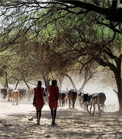 simsearch:862-03366185,k - Deux guerriers Maasai, spears sur leurs épaules, laissent les banques poussiéreuses friables du fleuve Sanjan après abreuver leur bétail. Photographie de stock - Rights-Managed, Code: 862-03355149