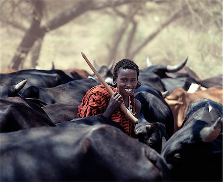 Ein junger Maasai Herdsboy Laufwerke seiner Familie Herden weiden Gelände nahe am Ostküstenorte-Fluss im Norden Tansanias. Stockbilder - Lizenzpflichtiges, Bildnummer: 862-03355151