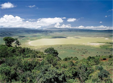 The world famous Ngorongoro Crater. Its 102-square-mile crater floor is the haunt of a wonderful wildlife spectacle. The crater is in fact a 'caldera' the largest unbroken,unflooded caldera in the world which was formed two and a half million years ago when a huge explosion destroyed a volcano standing about 15,000 feet high. Ngorongoro Crater was declared a World Heritage Site in 1978. Stock Photo - Rights-Managed, Code: 862-03355164