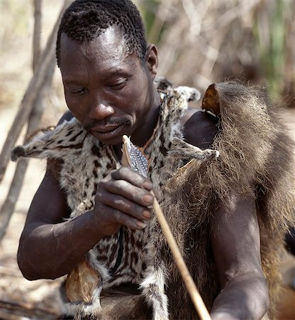 A Hadza hunter wearing the skins of a baboon and genet cat checks the straightness of a new arrow shaft,fledged with guinea fowl feathers.The Hadzabe are a thousand-strong community of hunter-gatherers who have lived in the Lake Eyasi basin for centuries. They are one of only four or five societies in the world that still earn a living primarily from wild resources. Foto de stock - Con derechos protegidos, Código: 862-03355171