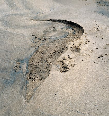 The impression of a young Nile crocodile on a damp sandbank of the Rufiji River. This huge river flows through the Selous Game Reserve of Southern Tanzania. The reserve covers 48,000 square kilometres and is one of the largest protected areas in the world. Declared a World Heritage Site in 1982,Selous is arguably one of Africa's most pristine wildernesses Foto de stock - Con derechos protegidos, Código: 862-03355186