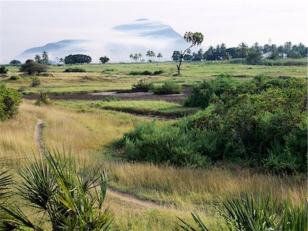 A rural scene near Same. Stock Photo - Rights-Managed, Code: 862-03355239