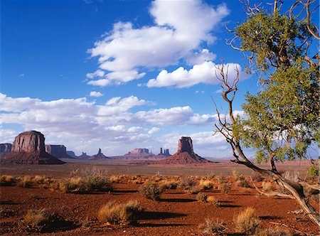 parc tribal des navajo - Point d'artistes Photographie de stock - Rights-Managed, Code: 862-03355559