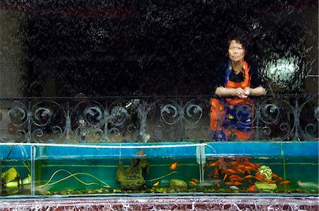 fish tank - A woman people watching behind a window of water,Xian City,Shaanxi Province,China Stock Photo - Rights-Managed, Code: 862-03351098