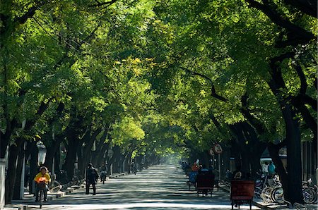 simsearch:862-03289833,k - China,Beijing. A tree lined avenue in a local neighbourhood Hutong area. Fotografie stock - Rights-Managed, Codice: 862-03351336