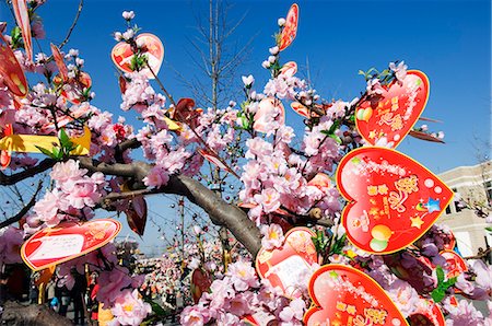 festival of spring - China,Beijing. Chinese New Year Spring Festival Valentine love messages on a tree at Chaoyang Park Fair Foto de stock - Direito Controlado, Número: 862-03351550