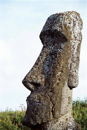 quarry - A finely chiselled stone head or moai,one of almost 400 finished moais that litter the slopes of volcano Rano Raraku ready for transportation around the island to their intended ahu or ceremonial platform. The vast majority of Easter Island's 800+ moais were chiselled out of the volanic tuff on the side of Rano Raraku between 700-1500AD. Stock Photo - Rights-Managed, Code: 862-03352106