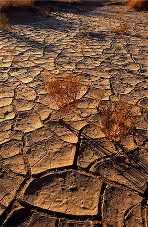 fango arido - Chile,Region I,Pica. Dried,cracked earth near the village of Pica,Northern Chile Fotografie stock - Rights-Managed, Codice: 862-03352187