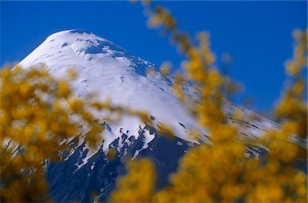 Chile,Region X,Lake District. Mt Osorno 2,652 m (8,701 feet),extinct volcano in the Chilean Lake District. Stock Photo - Rights-Managed, Code: 862-03352245