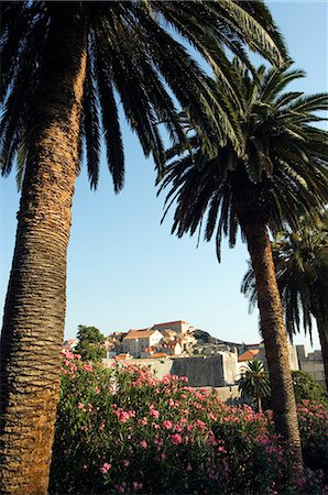 Dubrovnik Unesco World Heritage Old Town Red Roof Tiled Houses and Summer Flowers Stock Photo - Rights-Managed, Code: 862-03352387