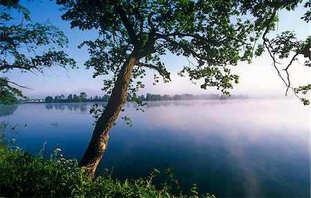 fishpond - Czech Republic. Fishponds and wetlands,Trebon Stock Photo - Rights-Managed, Code: 862-03352615