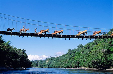 rope bridges south america - Mule train crossing a bridge over the Rio Upano,Moreno Santiago Province,Ecuador Stock Photo - Rights-Managed, Code: 862-03352688