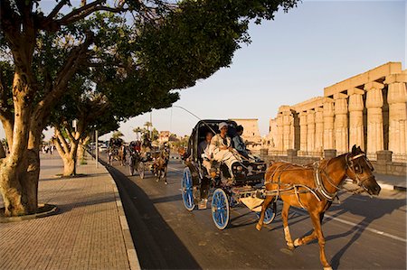 east bank - A caleche or horsedrawn carriage makes its way past Lexor Temple in the heart of the city of Lexor,Egypt Foto de stock - Con derechos protegidos, Código: 862-03352779