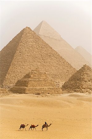 Camels pass in front of the pyramids at Giza,Egypt Stock Photo - Rights-Managed, Code: 862-03352878