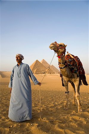 A camel driver stands in front of the pyramids at Giza,Egypt . Stock Photo - Rights-Managed, Code: 862-03352886