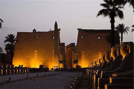 east bank - Luxor Temple illuminated at night. The obelisk is one of a pair,the other stands in the Place de la Concorde,Paris. Stock Photo - Rights-Managed, Code: 862-03352896