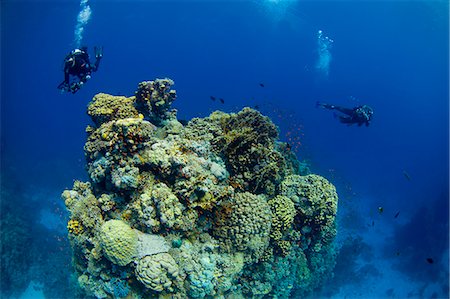 scuba divers - Egypt,Red Sea. Two scuba divers explore a coral pinnacle at St. John's Reef,Red Sea Foto de stock - Con derechos protegidos, Código: 862-03352937