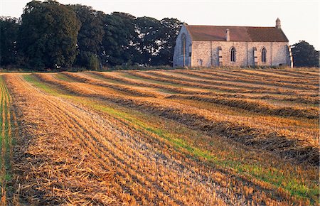 stubble field - St. Mary & All Saints Church,South Kyme, Stock Photo - Rights-Managed, Code: 862-03352952